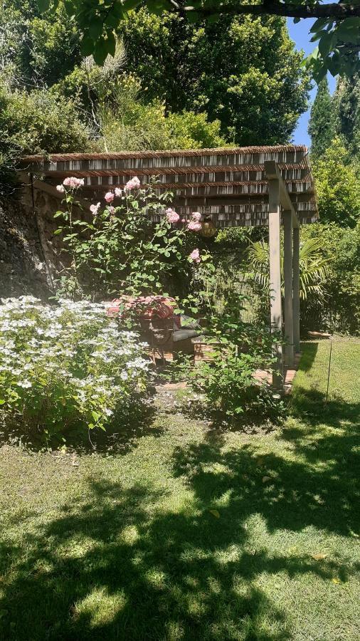 Vila Casa Di Leo With Pool Radicondoli Exteriér fotografie